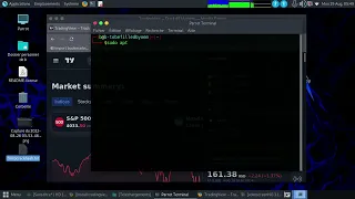 Installing TradingView application on Linux