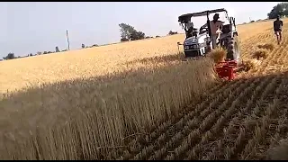 reaper binder गेहूं काटने और बांधने की मशीन Eicher 380 tractor ||farmer studio99 ||