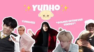 Yunho and his golden retriever energy