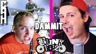 Dammit (Growing Up) Blink-182 Cover - Chris Allen Hess