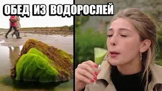 ОБЕД ИЗ ВОДОРОСЛЕЙ В ИРЛАНДИИ | ЛУЧШЕЕ ОТ ОРЛА И РЕШКИ