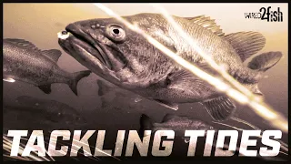 Fishing Tidal Waters For Bass | What To Look For (Cal Delta)