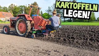 OLDIES im EINSATZ! | KARTOFFELN LEGEN mit 66 Jahre alter Technik! | McCormick D430 | Mr. Moto