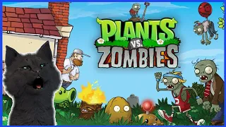 Супер Кот и Растения против зомби #4 🐱 Plants vs Zombies