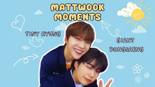 ZEROBASEONE's Tiny Hyung & Giant Maknae: Matthew and Gunwook Moments 💕 #mattwook #mattparkz