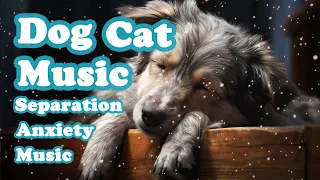 Anti Anxiety Music for Dogs: Cure Separation Anxiety with Dog Music - Relax for Dogs