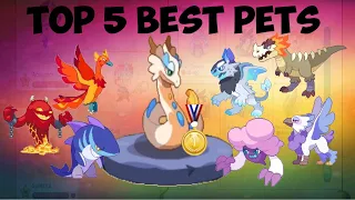 The TOP 5 BEST PETS in Prodigy!!!