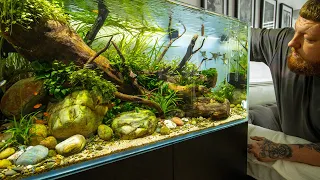 His best aquascape so far...