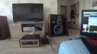 Accuphase P-500L & Yamaha FX-3