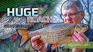 HUGE ROACH - Terry Theobald  #HugeRoach #RoachFishing #Korum #BigRoach #Fishing #roachfishing