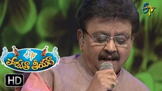 Jabiliki Vennelaki  Song | SP Balu Performance | Padutha Theeyaga | 12th March 2017 | ETV Telugu