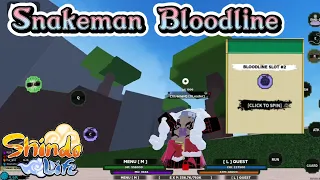 Wow,Best Pull Ever!!! | SnakeMan Bloodline + Shiver Ragnar Showcase | Shindo Life Roblox