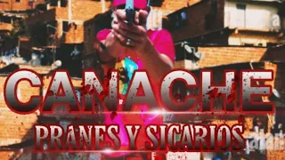 Canache Pranes Y Sicarios capitulo 2 #cinema #peliculas #prensa #venezuela #viral #cat #youtube