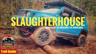 Renegades & Cherokees in a Slaughterhouse Gulch Trail Guide #JeepRenegadeOffRoad #CherokeeTrailHawk