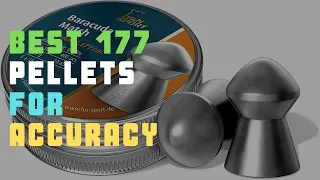 5 Best 177 Pellets For Accuracy | Check Best 177 Pellets Reviews Today