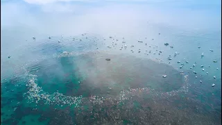 Jack O'Neill World Memorial Paddle Out