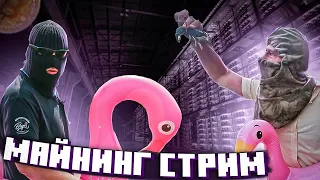 Видеокарт и асиков скоро не будет!!!