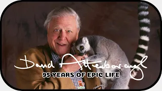 Sir David Attenborough - The man who brought the natural world to our homes
