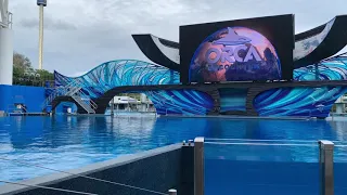 One Song - Orca Encounter - SeaWorld Orlando