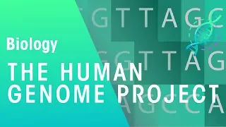 The Human Genome Project | Genetics | Biology | FuseSchool