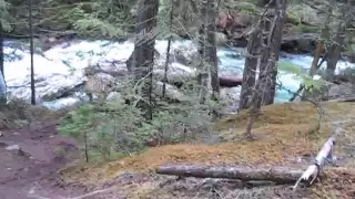 Bigfoot Sighting Canada: Rare Footage in Canadian Wilderness