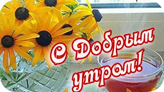 С Добрым утром!❤️ Хорошего дня желаю! ❤️Позитивного настроя!❤️Good morning!❤️