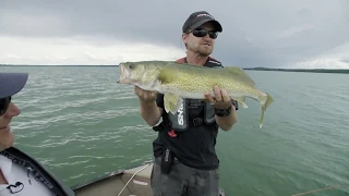 Huge Alberta Walleye On Huge Artificial Baits | Fish'n Canada