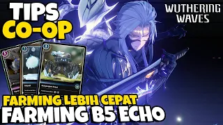 Tips Co-op !? Farming ECHO B5 Lebih Cepat - Wuthering Waves Ditusi