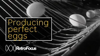 How do you produce the perfect egg? (1969) | RetroFocus | ABC Australia