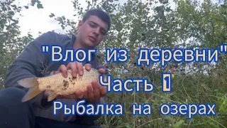 Влог из деревни| Рыбалка на озёрах|  Балаковский район| Деревня Васильевка