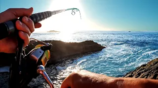 Eden Rock Fishing Adventures At North Head NSW Red Morwong!!!!