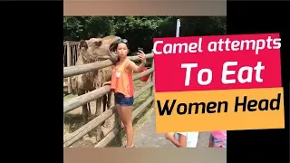 TRY NOT TO LAUGH – Funny KIDS vs ZOO ANIMALS are WAY FUNNIER!