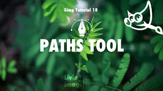 How to use paths tool in Gimp 2.10.22 | Gimp Tutorial-18