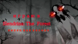 играю в  Slendrina: The  Forest  часть 1 чит опис