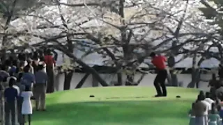 Tiger Woods greatest shot ever!! Must see to believe