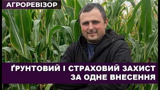 АГРОРЕВІЗОР: Ґрунтовий і страховий захист кукурудзи за одне внесення  / СуперАгроном