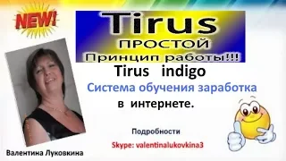 Tirus Indigo  Тайрус Индиго  Система обучения заработка в Интернете.