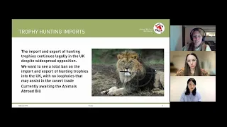 A Webinar with Four Paws UK, with Emily Wilson, Head of Programmes, UK