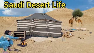 Most Impressive Desert Life In Saudi Arabia | Stunning Life