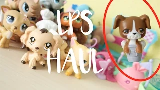 〚LPS Haul〛 30+ LPS and Fake LPS??