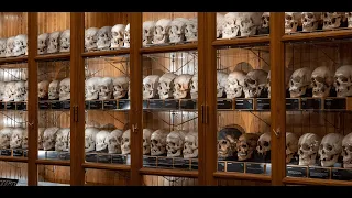 The Mutter Museum, a museum of medical abnormalities in downtown Philadelphia, PA