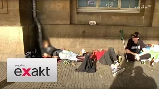 Obdachlose Jugendliche betteln | Exakt | MDR