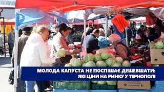 Молода капуста не поспішає дешевшати: які ціни на ринку у Тернополі