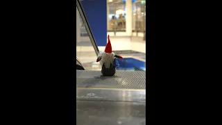 Tomte alone in the IKEA store 🎅😇