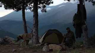 Wild camp on the mountain with tarptent. Heavy rain, Beef steak on fire. Made fire protection ASMR