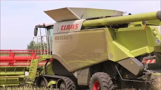 Claas Lexion 670 im 1. (mein) Raps 2023.