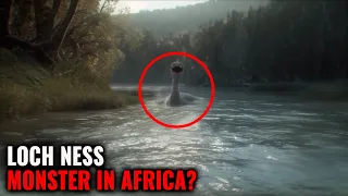 Could These Cryptids Actually Exist? | Mysterious Creature Sightings