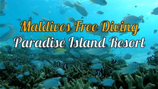 Maldives Free Diving - Paradise Island Resort & Spa | 4K GoPro 7