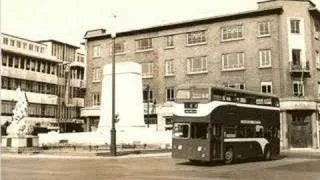 Hull Buses