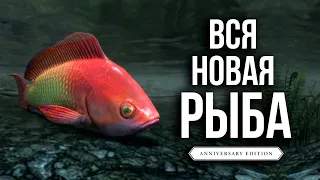 Skyrim - Вся Новая Рыба Анниверсари Эдишн. ( Секреты 435 )